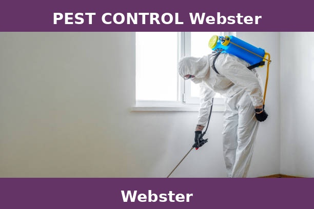 PEST CONTROL Webster